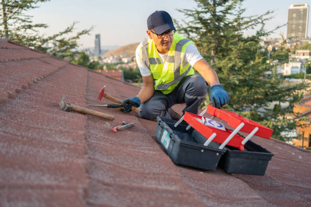 Best Attic Cleanout  in Limesa, CA